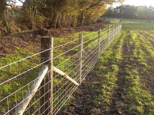 Electric Galvanized Iron 50m Length Wire Cattle Fencing For Livestocks