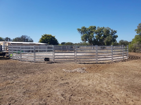 20Panel+1Gate Heavy Duty Galvanized Livestock Yard Fence Horse Round Yard panel