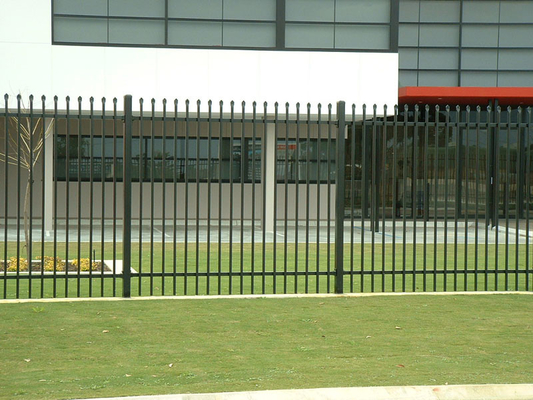 Powder coated Black 1.8x2.0m Steel Tubular Fencing With Crimp Top