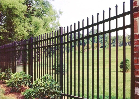 Powder coated Black 1.8x2.0m Steel Tubular Fencing With Crimp Top