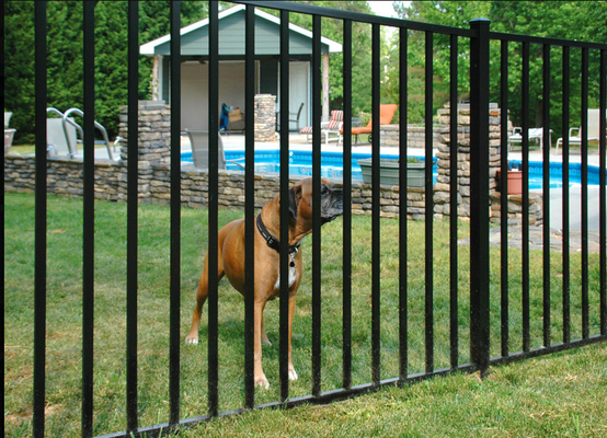 3mm Thickness 8foot Width Steel Tubular Fencing For Swimming Pool Security