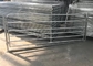 Anti Rust Galvanized 2400x1170mm Livestock Handling Equipment