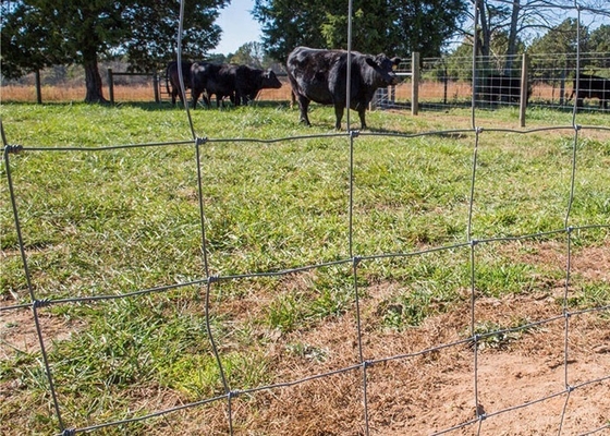 1.5m Height Farm Galvanized Design Cattle Mesh Fencing