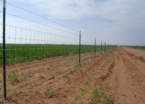 4 Ft 5 Ft Livestock Mesh Fencing SGS Certification