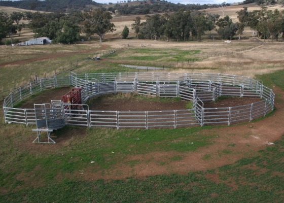 1.8m X 2.1m Oval Tube Heavy Duty Cattle Panel Portable