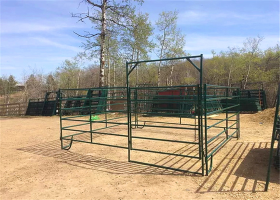 Green Coated Lightweight Horse Corral Panels 5" 3'' Tall By 7" Long Round Pipe