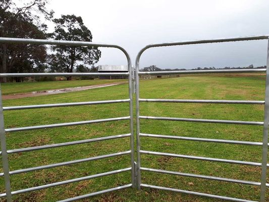 2.9mx1.25m Acciaio pesante Economy Pastorale Portable Sheep Yard Pannelli Pannello capra