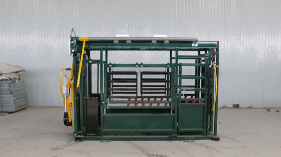 Equipaggiamento per il bestiame Cattle Squeeze Chute Premium Automatic Vet Crush Con Supporto del mento