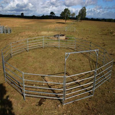 20Panel+1Gate Heavy Duty Galvanized Ferraglia del cantiere del bestiame cavallo pannello rotondo del cantiere
