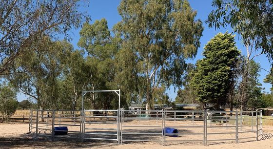 Prezzo di fabbrica 19M Cavallo Cortile Rotondo Pannello di allevamento Cavallo Pannelli stabili Penna rotonda