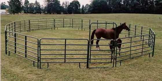 Vendita calda cavallo giardino rotondo cavallo corral pannello di bestiame pannello penna per ranch
