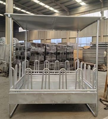 Rack per alimentazione di fieno a sfera di ferro inossidabile con tetto