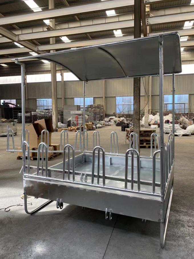 Rack per alimentazione di fieno a sfera di ferro inossidabile con tetto 1